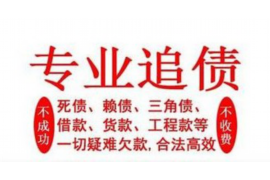 阿拉善盟为什么选择专业追讨公司来处理您的债务纠纷？